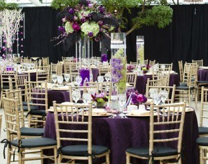 Wedding Rental Chairs And Chair Covers A Classic Party Rental