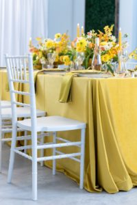 Chair, White Chiavari with Cushion – Allie's Party Equipment Rentals